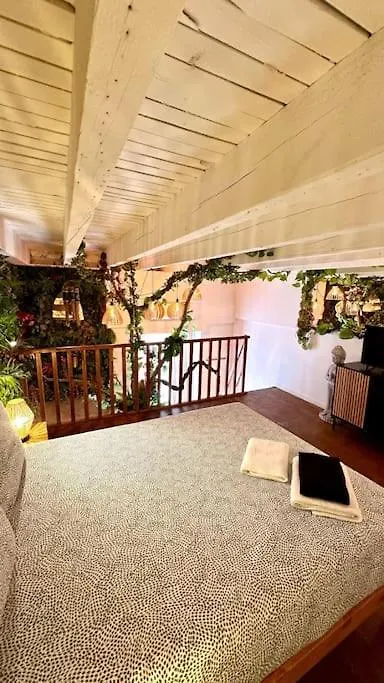 Jungle Love Room Avec Jaccuzi Au Coeur De Nice 0*,  Frankrijk