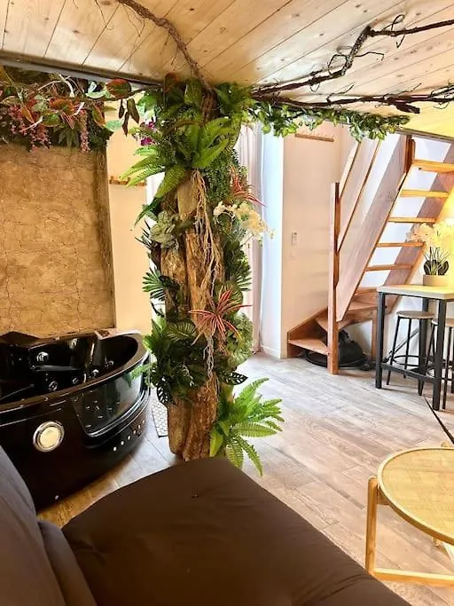 Jungle Love Room Avec Jaccuzi Au Coeur De Nice Appartement