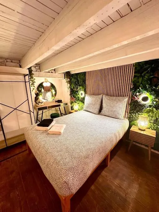 Appartement Jungle Love Room Avec Jaccuzi Au Coeur De Nice