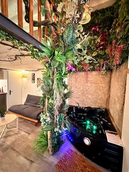 Appartement Jungle Love Room Avec Jaccuzi Au Coeur De Nice