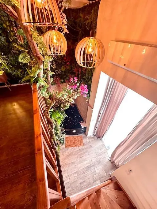 Jungle Love Room Avec Jaccuzi Au Coeur De Nice