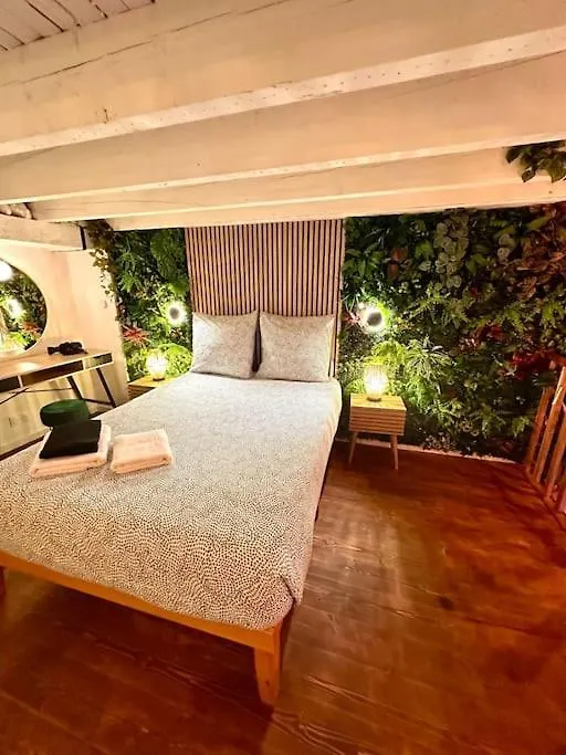 Jungle Love Room Avec Jaccuzi Au Coeur De Nice France