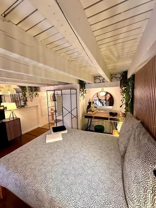 Jungle Love Room Avec Jaccuzi Au Coeur De Nice Apartment