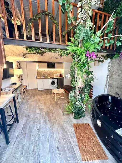 Apartment Jungle Love Room Avec Jaccuzi Au Coeur De Nice