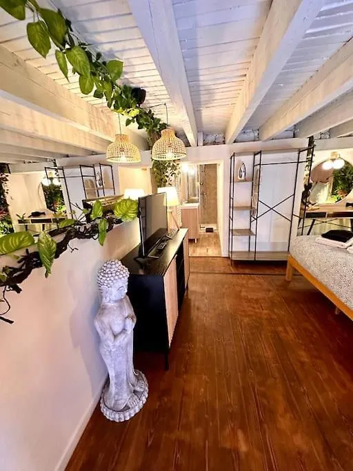 Jungle Love Room Avec Jaccuzi Au Coeur De Nice