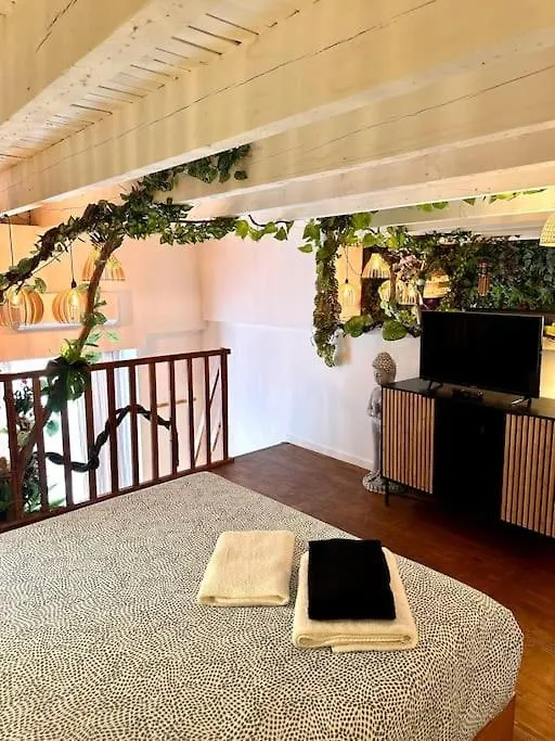 Jungle Love Room Avec Jaccuzi Au Coeur De Nice Apartment