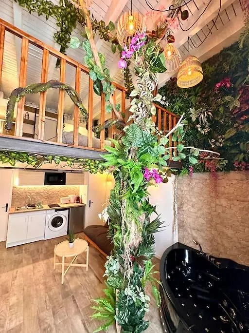 Jungle Love Room Avec Jaccuzi Au Coeur De Nice Apartment