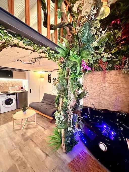 Apartment Jungle Love Room Avec Jaccuzi Au Coeur De Nice