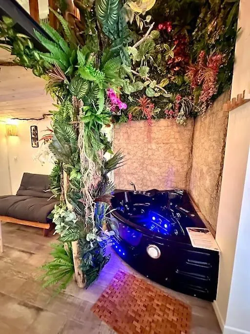 Apartment Jungle Love Room Avec Jaccuzi Au Coeur De Nice