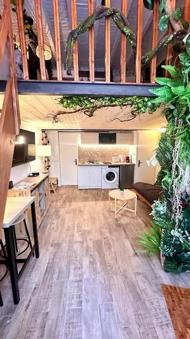 Apartment Jungle Love Room Avec Jaccuzi Au Coeur De Nice France