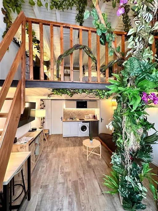 Jungle Love Room Avec Jaccuzi Au Coeur De Nice 0*,