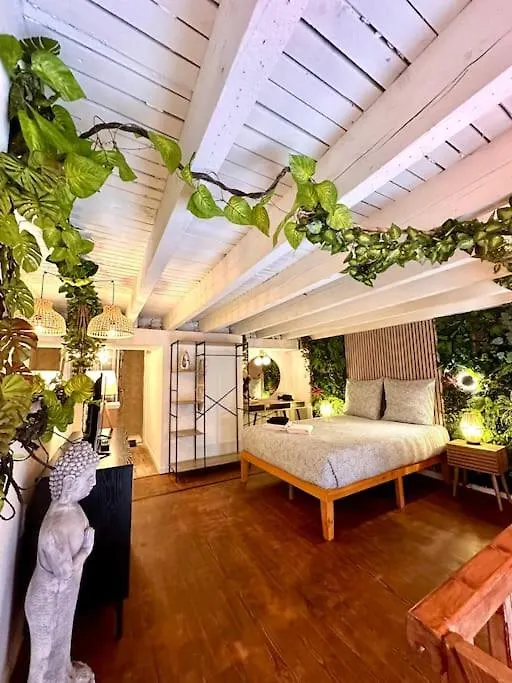 Jungle Love Room Avec Jaccuzi Au Coeur De Nice Apartment