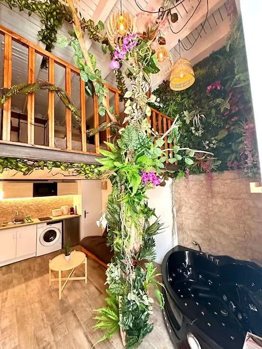 Jungle Love Room Avec Jaccuzi Au Coeur De Nice