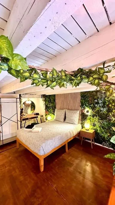 Jungle Love Room Avec Jaccuzi Au Coeur De Nice